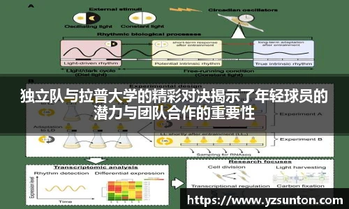 独立队与拉普大学的精彩对决揭示了年轻球员的潜力与团队合作的重要性