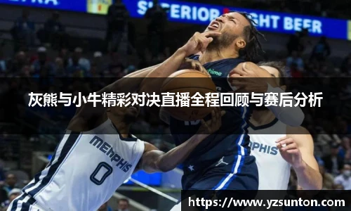 灰熊与小牛精彩对决直播全程回顾与赛后分析