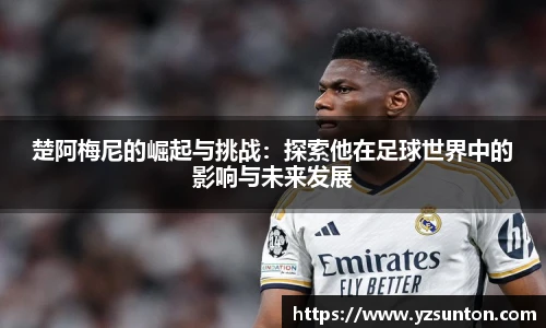 智博19有限公司